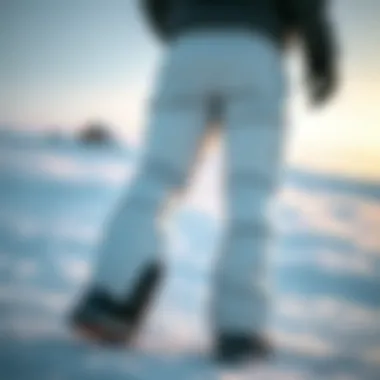 Baleaf Snow Pants in a Winter Outdoor Setting Baleaf snow pants in an outdoor winter setting with snow-covered background
