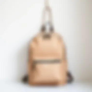 A stylish basic backpack displayed against a minimalist backdrop.