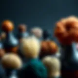 Diverse Bun Tools Collection An array of diverse bun tools showcasing their unique designs and functionalities