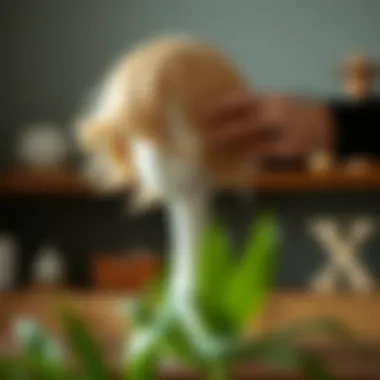 Maintenance Tips for Canvas Wig Stands Maintaining a wig on a canvas wig stand.