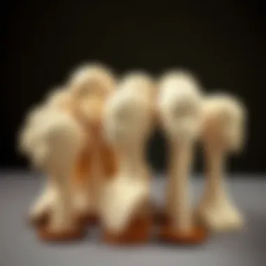 Variety of Canvas Wig Stands Different types of canvas wig stands arranged together.