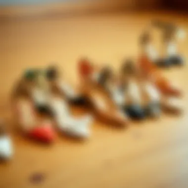 Variety of Chic Heels A variety of chic heels arranged on a wooden surface