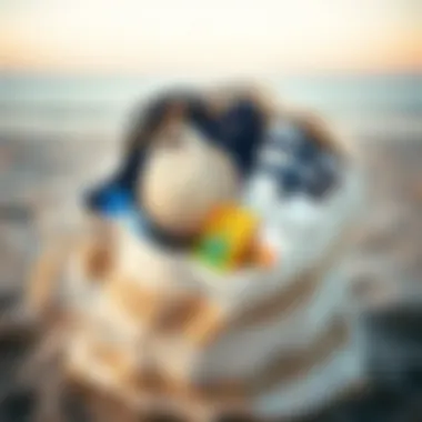 Essentials packed neatly in a sand resistant beach bag