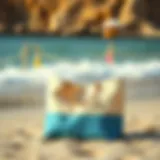 Stylish sand resistant beach bag on the shore