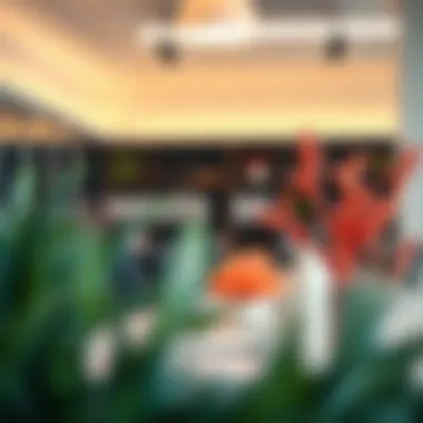 Close-up of coral decorative accents in an office