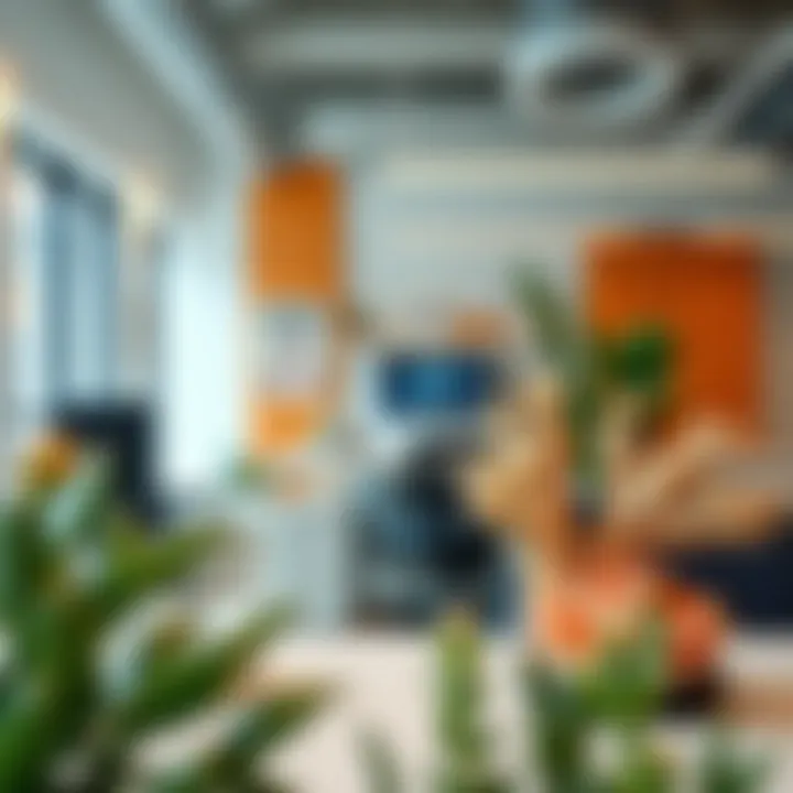 Sustainable coral decor elements in an office setting