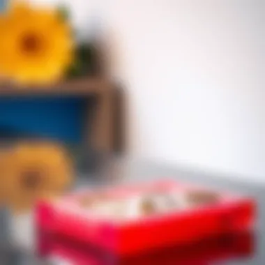 Vibrant Acrylic Design Colorful acrylic earring organizer designed for modern spaces