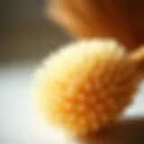 Details of an Exfoliating Body Brush A close-up view of an exfoliating body brush showcasing its bristles