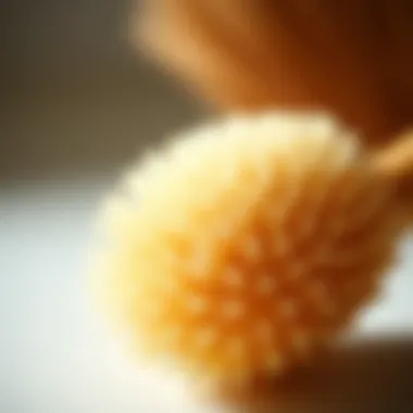 Details of an Exfoliating Body Brush A close-up view of an exfoliating body brush showcasing its bristles