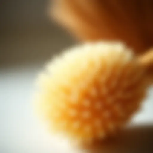 Details of an Exfoliating Body Brush A close-up view of an exfoliating body brush showcasing its bristles