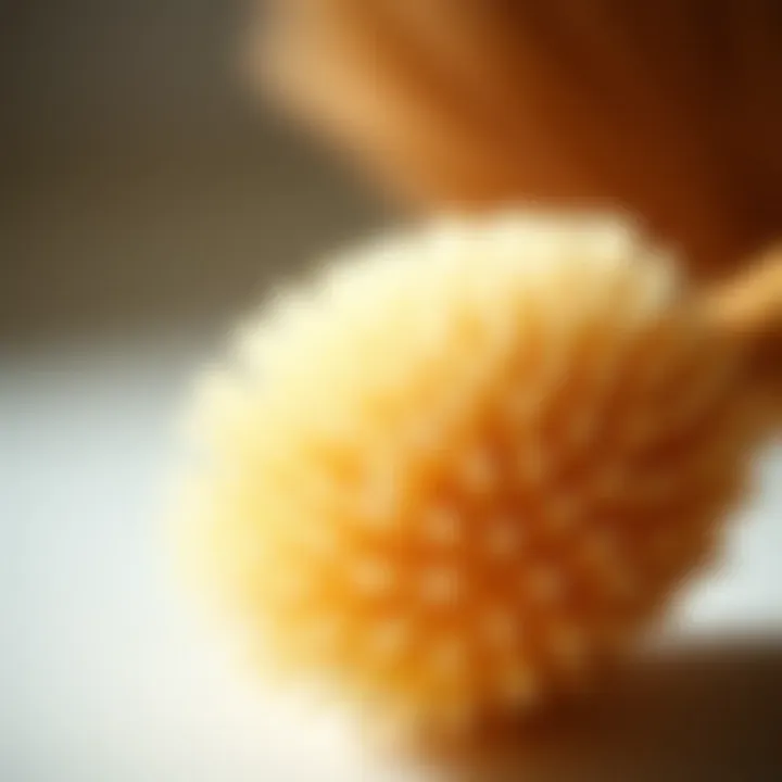 Details of an Exfoliating Body Brush A close-up view of an exfoliating body brush showcasing its bristles