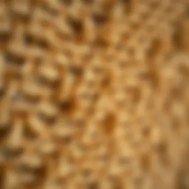 Close-up of burlap texture highlighting its natural fibers