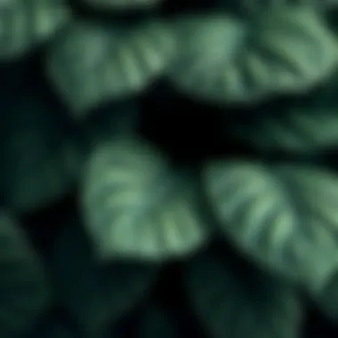 Close-up of intricate artificial leaf textures and patterns