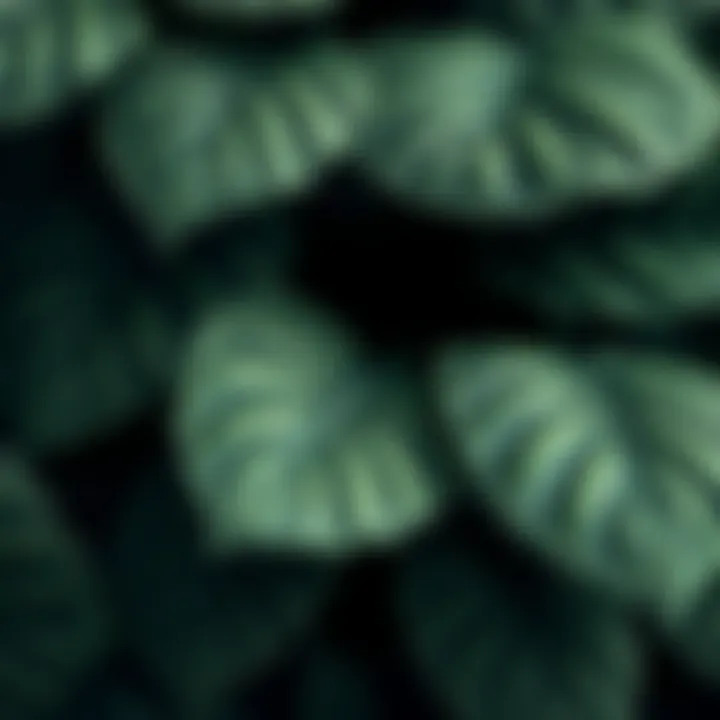 Close-up of intricate artificial leaf textures and patterns