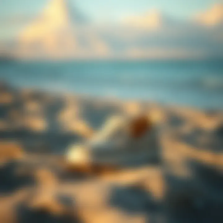 Exploring Beach Slip Ons: A Comprehensive Guide Summary
