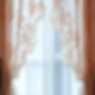 Close-up of intricate lace patterns on backdrop curtains.