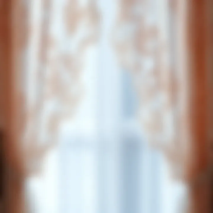 Close-up of intricate lace patterns on backdrop curtains.