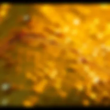 Close-up of Radiant Gold Sequins Close-up of gold sequins reflecting light
