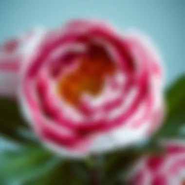 Close-up view of premium material used in artificial peonies