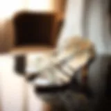 Elegant low heel ballroom dance shoes displayed on a reflective surface