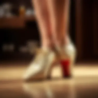 Proper Maintenance of Dance Shoes Maintaining ballroom dance shoes with proper cleaning supplies