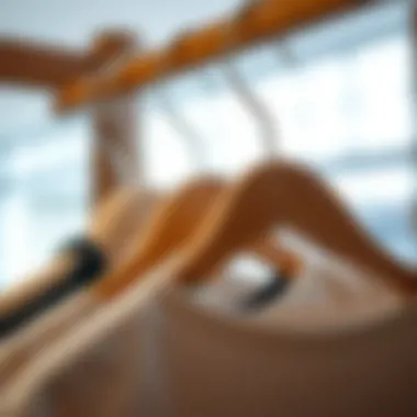 Diverse Styles and Materials Different styles of multi-hook hangers made from wood and metal materials.