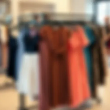 A collection of plus size 2 piece dress sets arranged on a stylish display rack