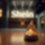Elegant design of Schein Shoes showcasing unique aesthetics