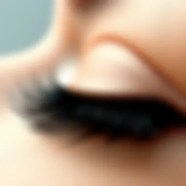 Texture and Volume of Short Thick False Lashes Close-up of short thick false lashes showcasing texture and volume