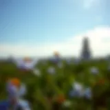 Exploring Silk Bluebonnets: A Comprehensive Analysis of Trends and Insights Introduction