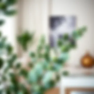 Creative arrangement of silk eucalyptus branches enhancing a chic space