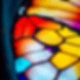 Colorful butterfly wings on a fabric swatch