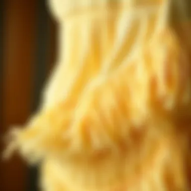 Close-up of fabric showcasing fringe design