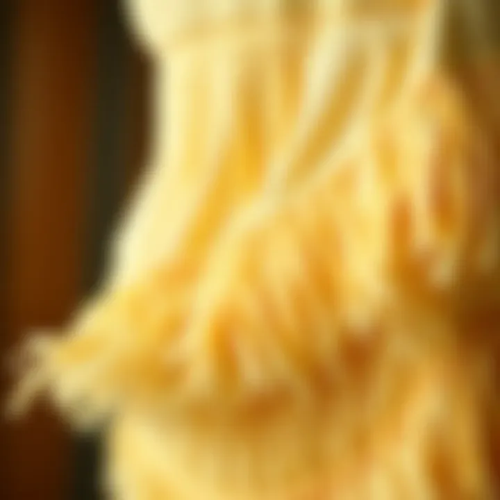 Close-up of fabric showcasing fringe design