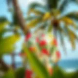 A vibrant plus size Hawaiian kimono displayed against a tropical backdrop