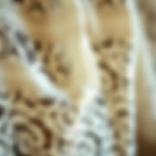 An elegant display of lace fabric showcasing intricate patterns