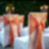 Exploring the Elegance of Rose Gold Spandex Chair Sashes Introduction