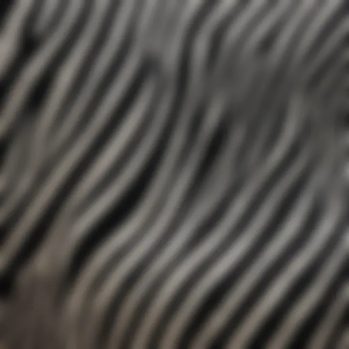 Close-up of fabric showcasing the unique zebra pattern