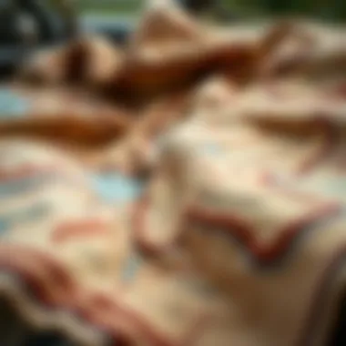 Exploring the Middle Earth Map Blanket Phenomenon Summary Exploring the Middle Earth Map Blanket Phenomenon Summary