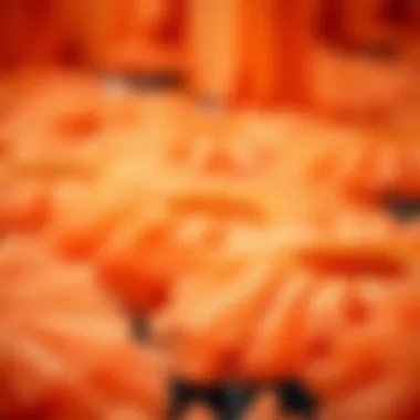 An array of orange tutus in various shades and fabrics, showcasing design diversity.