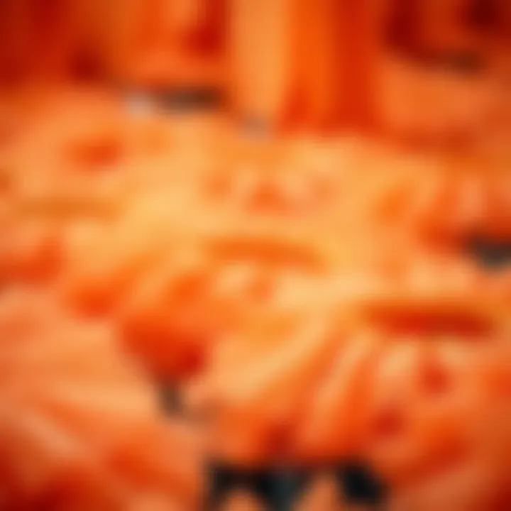 An array of orange tutus in various shades and fabrics, showcasing design diversity.