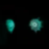 Intricate Glow in the Dark Eye Sticker Designs Close-up of glow in the dark eye stickers showcasing intricate designs