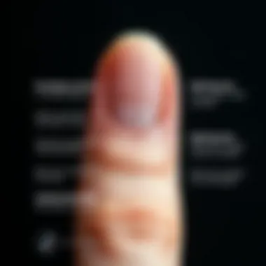 Functions of the Nail Barrier Graphic representation of nail barrier functions