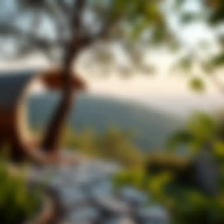 A serene nature retreat symbolizing growth and self-discovery