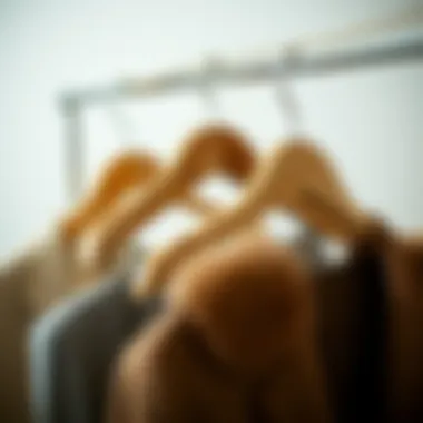 Wooden vs. Conventional Hangers: A Practical Comparison Comparison of wooden hangers with conventional metal hangers