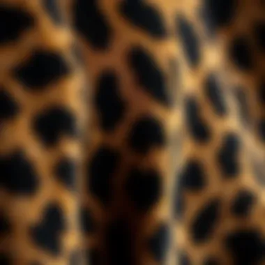 Close-up of leopard print fabric texture