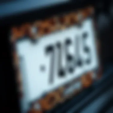 Close-up of a leopard print license plate frame showing intricate details