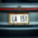 Stylish leopard print license plate frame on a sleek car