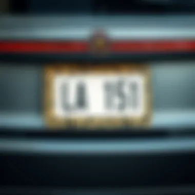 Stylish leopard print license plate frame on a sleek car