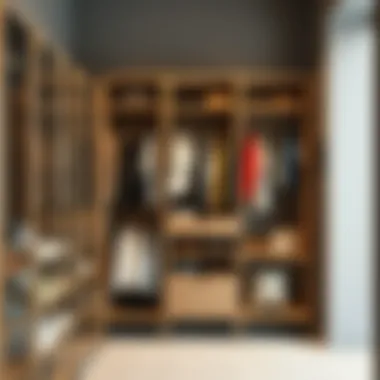 Modular clothing storage system enhancing organization